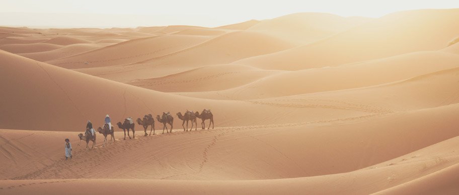 Kamelentocht door de woestijn van Egypte